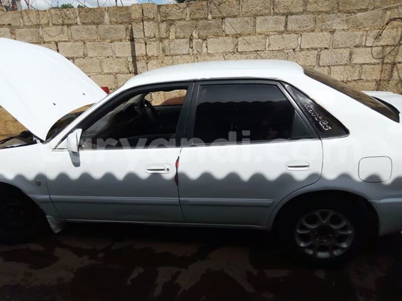 Big with watermark 25075045 1436706473124388 2663118157098388861 o