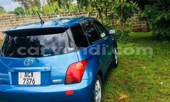 Buy Used Toyota IST Blue Car in Lusaka in Zambia Buy Used Toyota IST Blue Car in Lusaka in Zambia