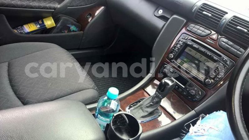 Big with watermark 25152125 1436706493124386 3988117729400250843 n