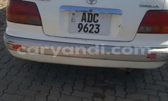 Buy Used Toyota Corolla White Car in Lusaka in Zambia Buy Used Toyota Corolla White Car in Lusaka in Zambia
