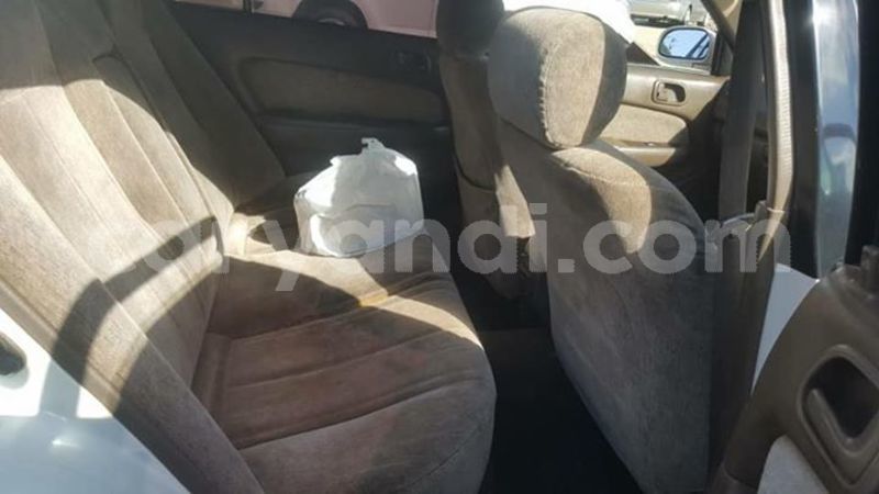 Big with watermark 25152125 1436706493124386 3988117729400250843 n