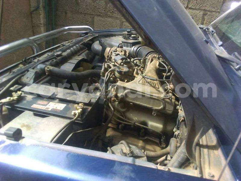 Big with watermark 25152125 1436706493124386 3988117729400250843 n