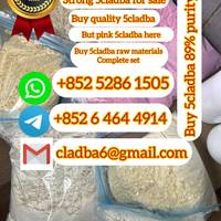 Medium 548c1738 bccf 479d a3d9 a43bf3d4820e