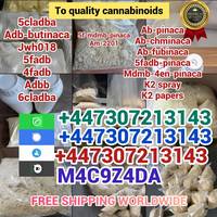 Medium 2841bc38 1686 464b 9cf4 003ed43f4620 3 
